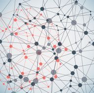 Complex network background N11