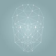 Face network illustration N2