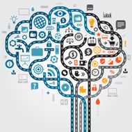 Business Brain N4