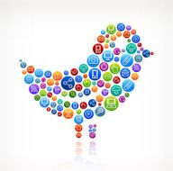 Bird on Social Networking &amp; Internet Color Buttons N2