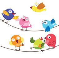 Cute Birds N5