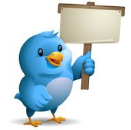 Bluebird Holding Banner