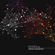 Network Connection Nodes N2