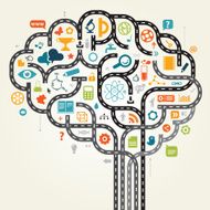 Studying Brain N2