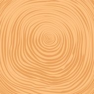 Vector crosscut tree rings background