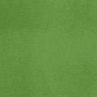 Vector canvas Salad green color