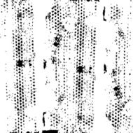 Grunge Background N109