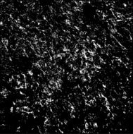 grunge texture N8