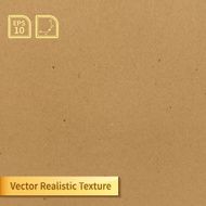 Vector soft clean cardboard texture Photo texture for your design