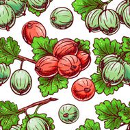 seamless gooseberry N2