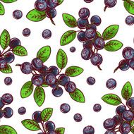 seamless blueberry