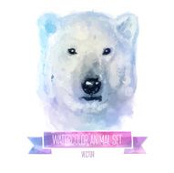 Vector set of watercolor illustrations Cute polarbear