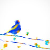 abstract colorful watercolor bird pattern background