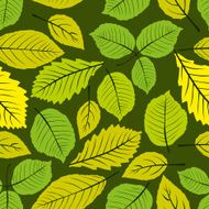 Different leaves seamless pattern vector natural endless
