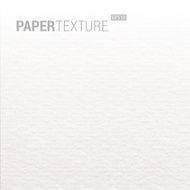 Gradation Realistic White Paper Background Texture
