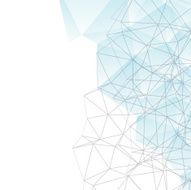 Network N26