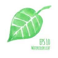 Watercolor leaf N2
