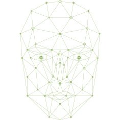 Face network illustration green