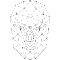 Face network illustration grey N2
