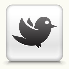 Square Button with Bird N2