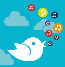 social media design N250