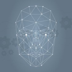 Face network illustration