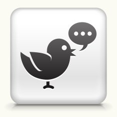 Square Button with Social Bird N2