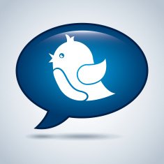 blue bird design N2