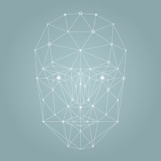 Face network illustration N2