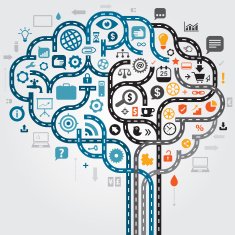 Business Brain N4