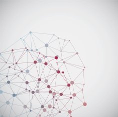 Complex network background N13