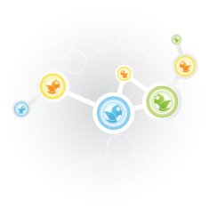 Social Networking N45