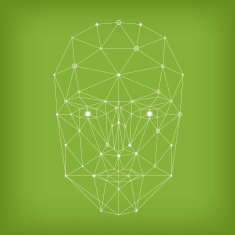 Face network illustration green N2