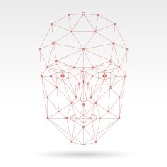 Face network illustration red