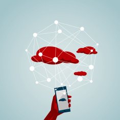 Social Networking N48