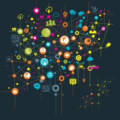 Social Networking N50