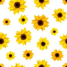 Seamless pattern with sunflowers Vector illustration