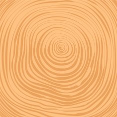 Vector crosscut tree rings background