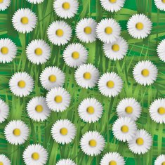 Daisy flowers N2