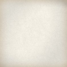 Abstract paper texture vector N2