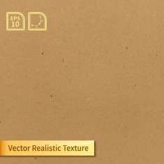 Vector soft clean cardboard texture Photo texture for your design