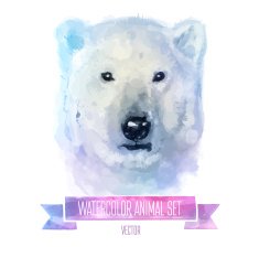 Vector set of watercolor illustrations Cute polarbear