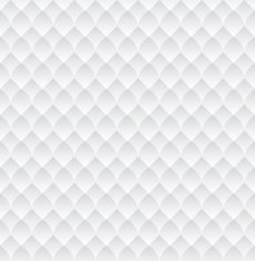Texture White Scales Seamless
