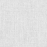 Paper texture background N5