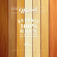 Wood collections realistic texture design