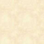 Parchment paper Vector seamless background