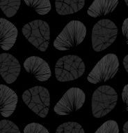 Rows of decorative stones and shells N2