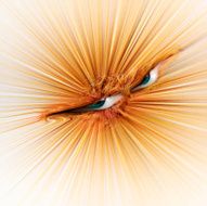 Spooky Radiating Eye Abstract Background
