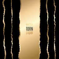 Gold and black torn paper N8