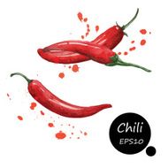 chilies watercolor painting splash on white background vector